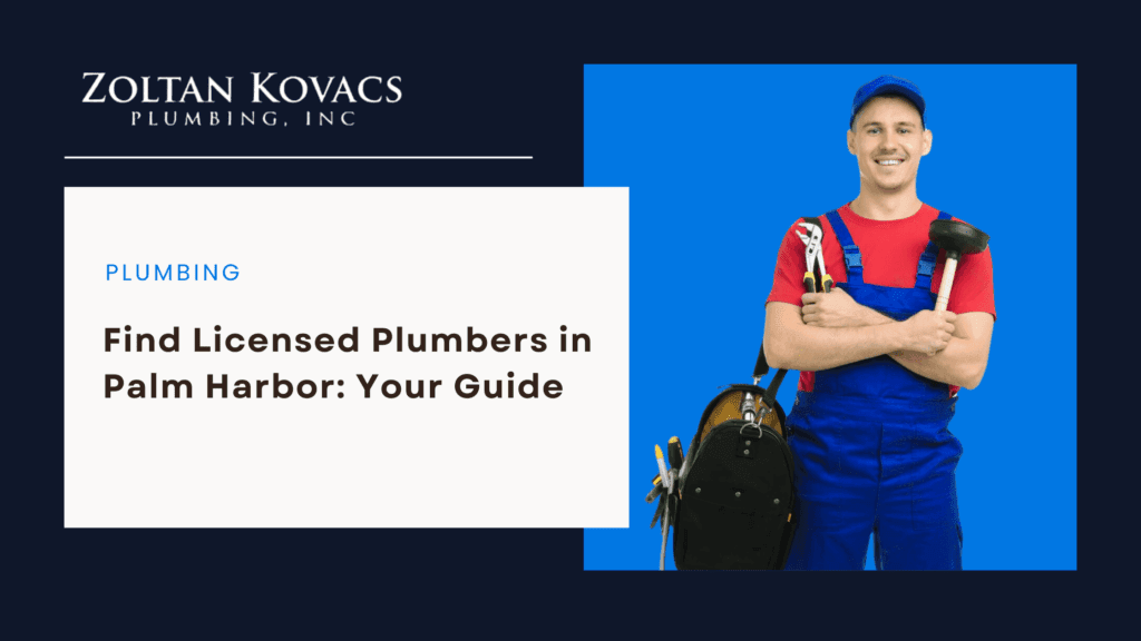 Find Licensed Plumbers in Palm Harbor Fl