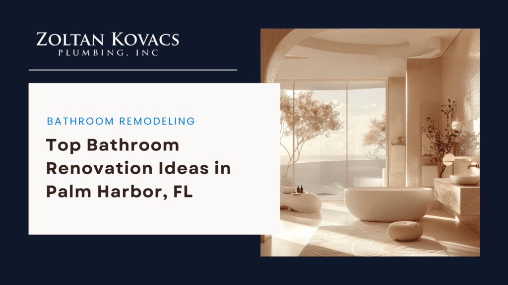 Top Bathroom Renovation Ideas